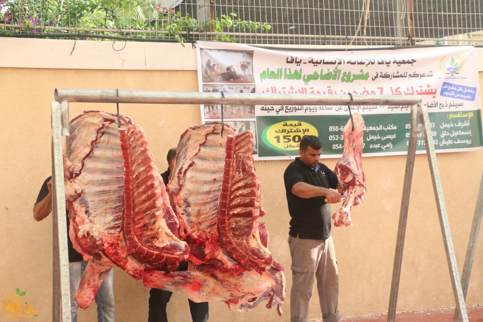 lo7om jam3iya u3 (31).jpg